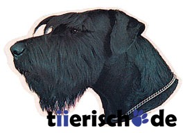 Aufkleber Riesenschnauzer schwarz Bild 1