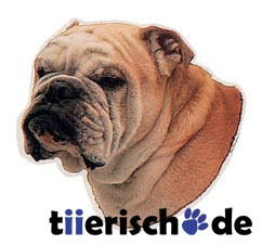 Aufkleber Englische Bulldogge Bild 1