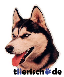Siberian Husky Aufkleber Bild 1