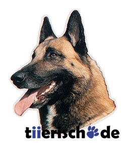 Malinois Aufkleber Bild 1