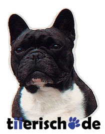 Französische Bulldogge Hundeaufkleber Bild 1