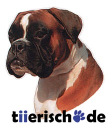 Aufkleber Boxer braun weiß Bild 1