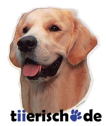 Golden Retriever Aufkleber Bild 1