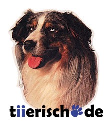 Aufkleber Australian Shepherd Bild 1