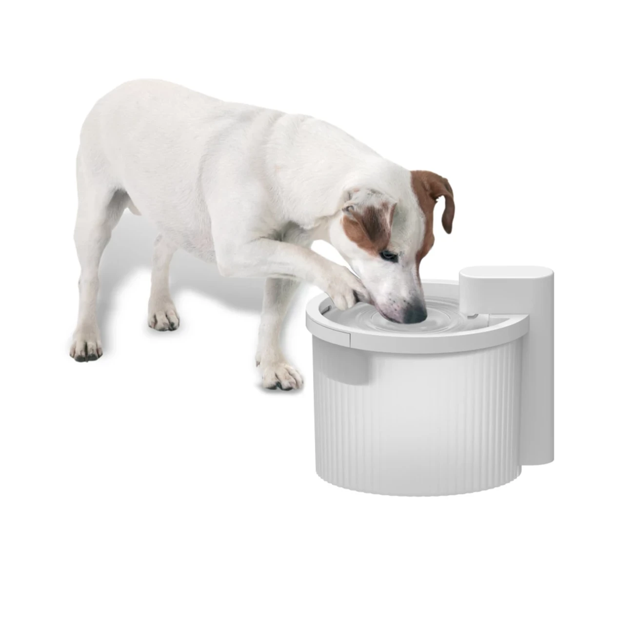 Lifestyle 4 Pets Trinkbrunnen Kabellos Bild 2