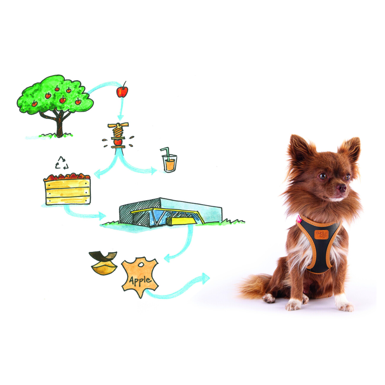 Curli Apple Leather Clasp Vest Geschirr für Hunde Bild 5