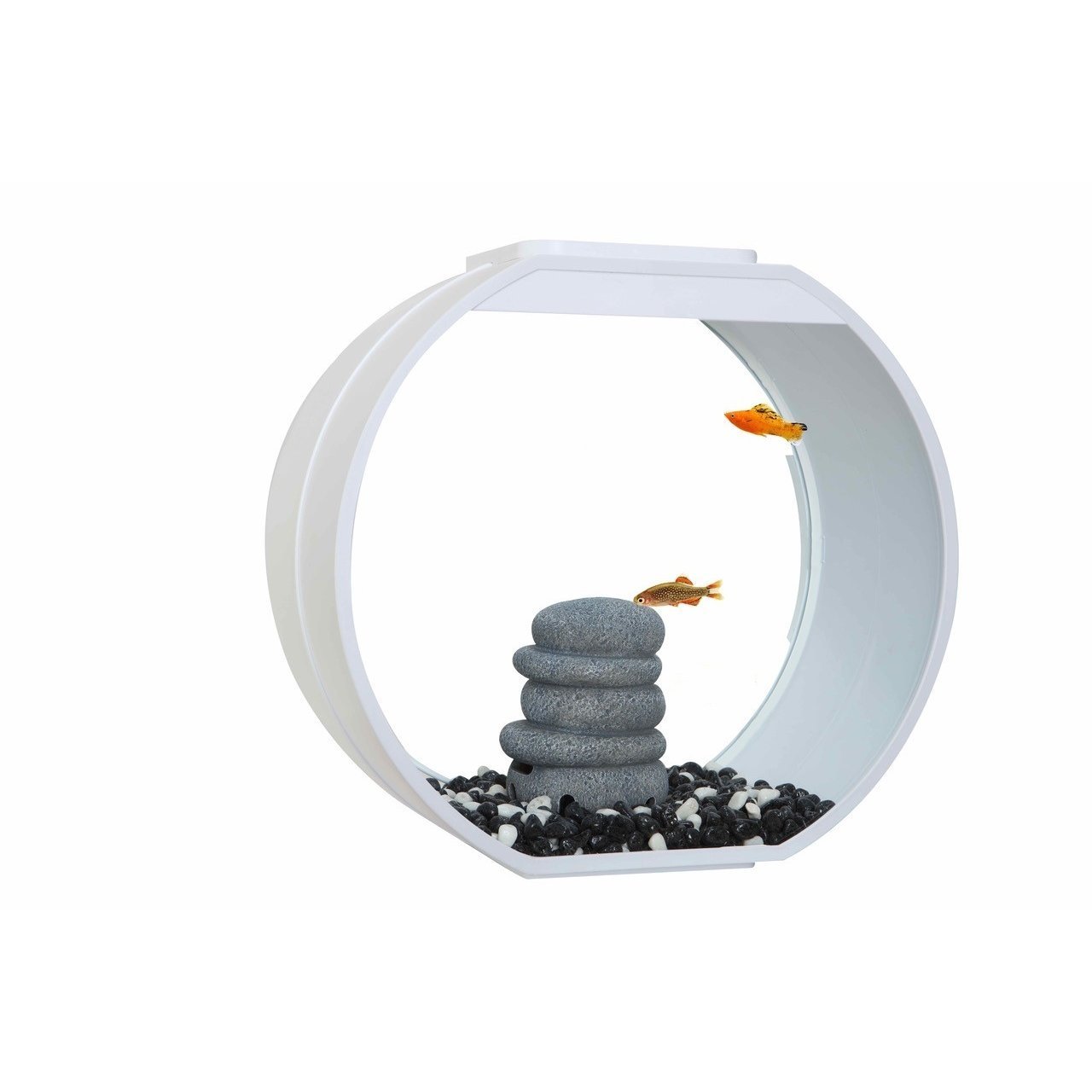AA Aquarium Deco O Mini Komplettset von AA Aquarium günstig bestellen ...