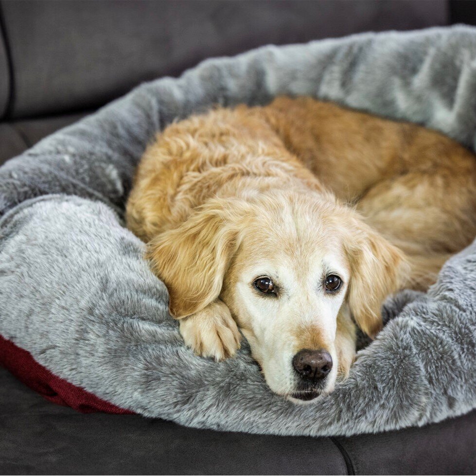 Cuddle Up Hunde Kuschelnest Bild 7