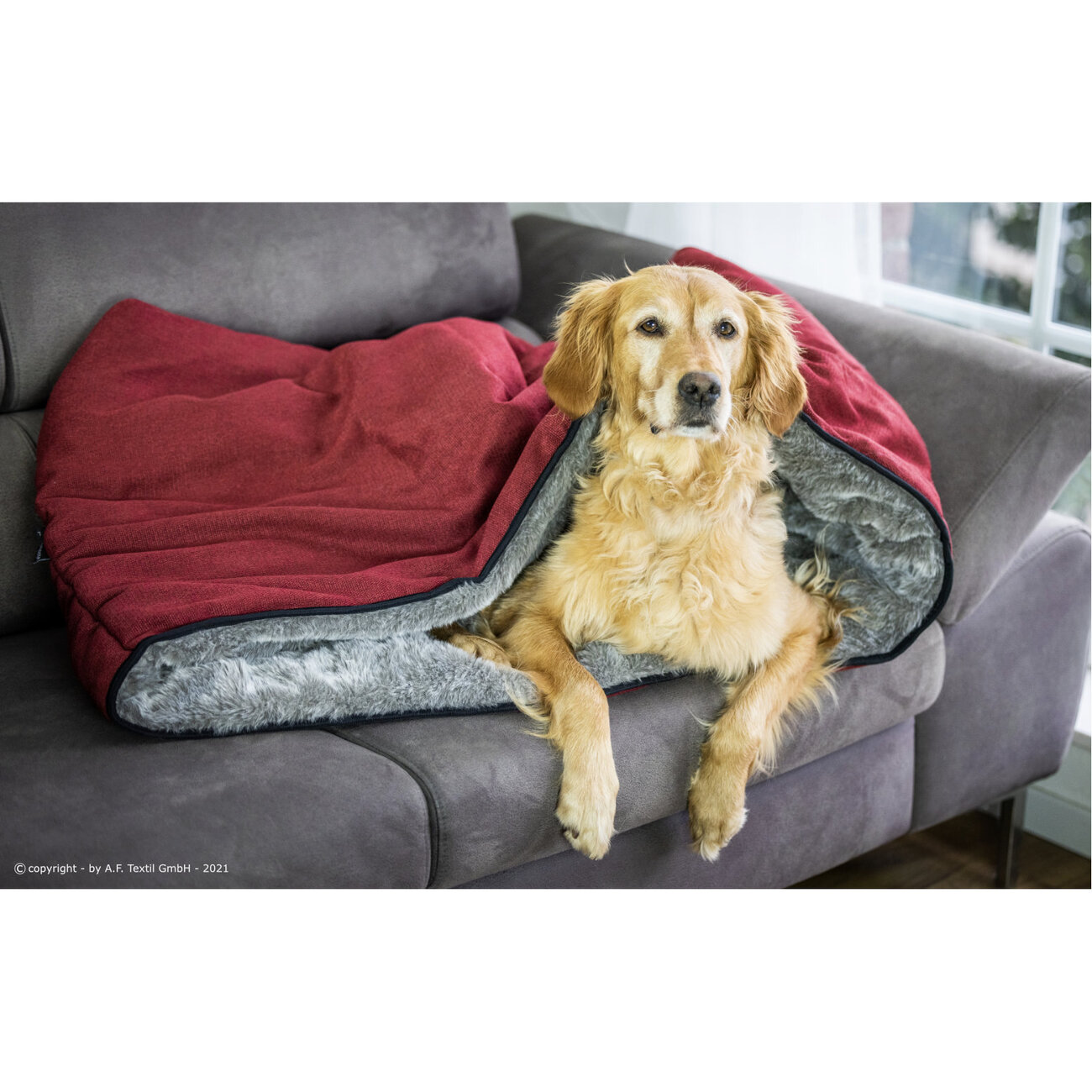 Cuddle Up Hunde Kuschelnest Bild 10