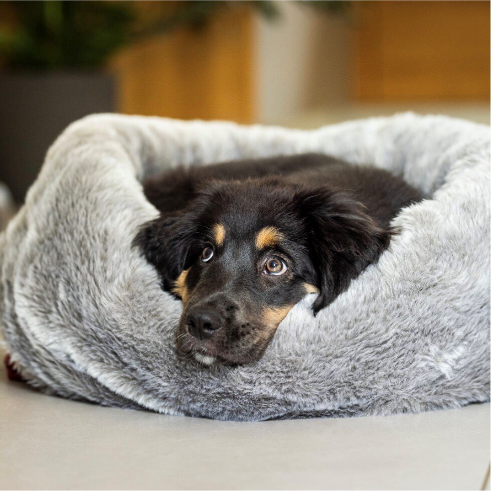 Cuddle Up Hunde Kuschelnest Bild 11