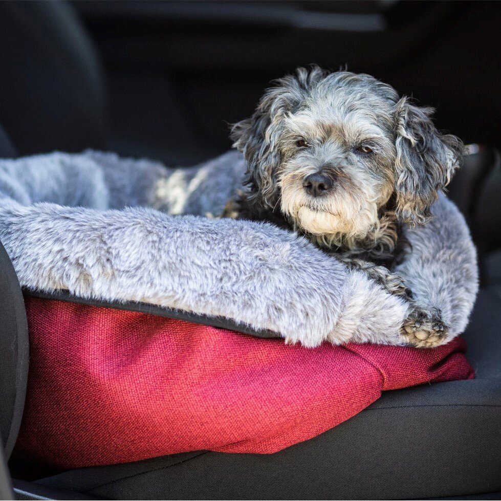 Cuddle Up Hunde Kuschelnest Bild 3