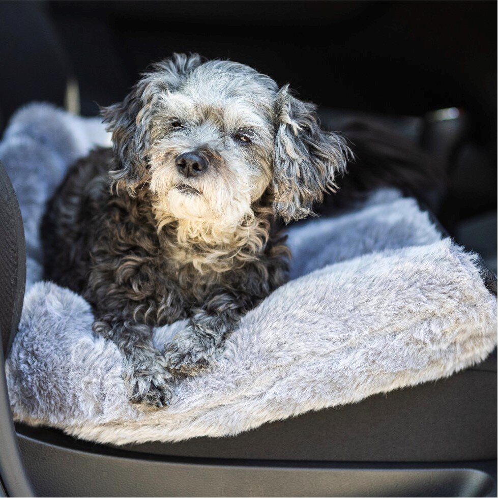 Cuddle Up Hunde Kuschelnest Bild 12