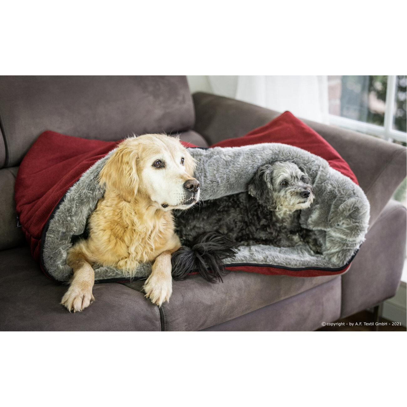 Cuddle Up Hunde Kuschelnest Bild 13