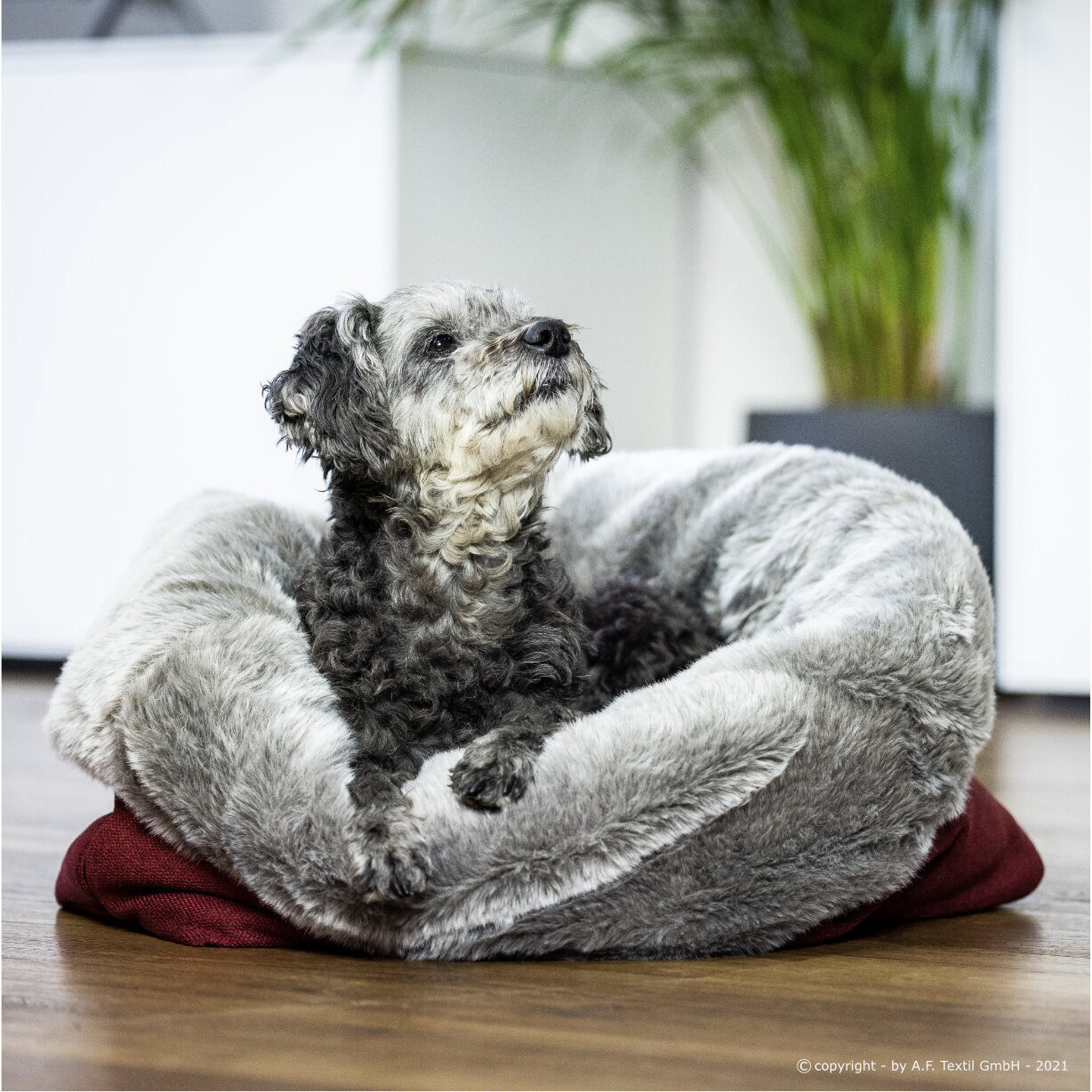 Cuddle Up Hunde Kuschelnest Bild 2