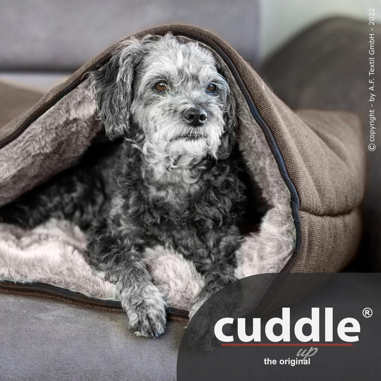 Cuddle Up Hunde Kuschelnest Bild 15