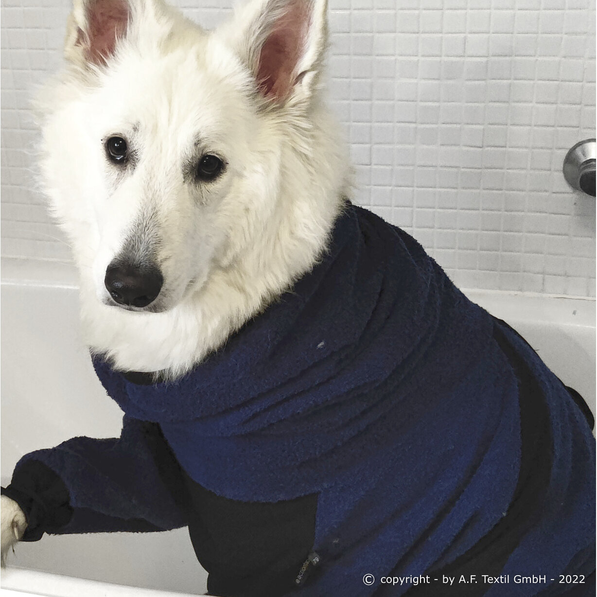 Dryup Body zip.fit Hundebademantel Big Bild 3