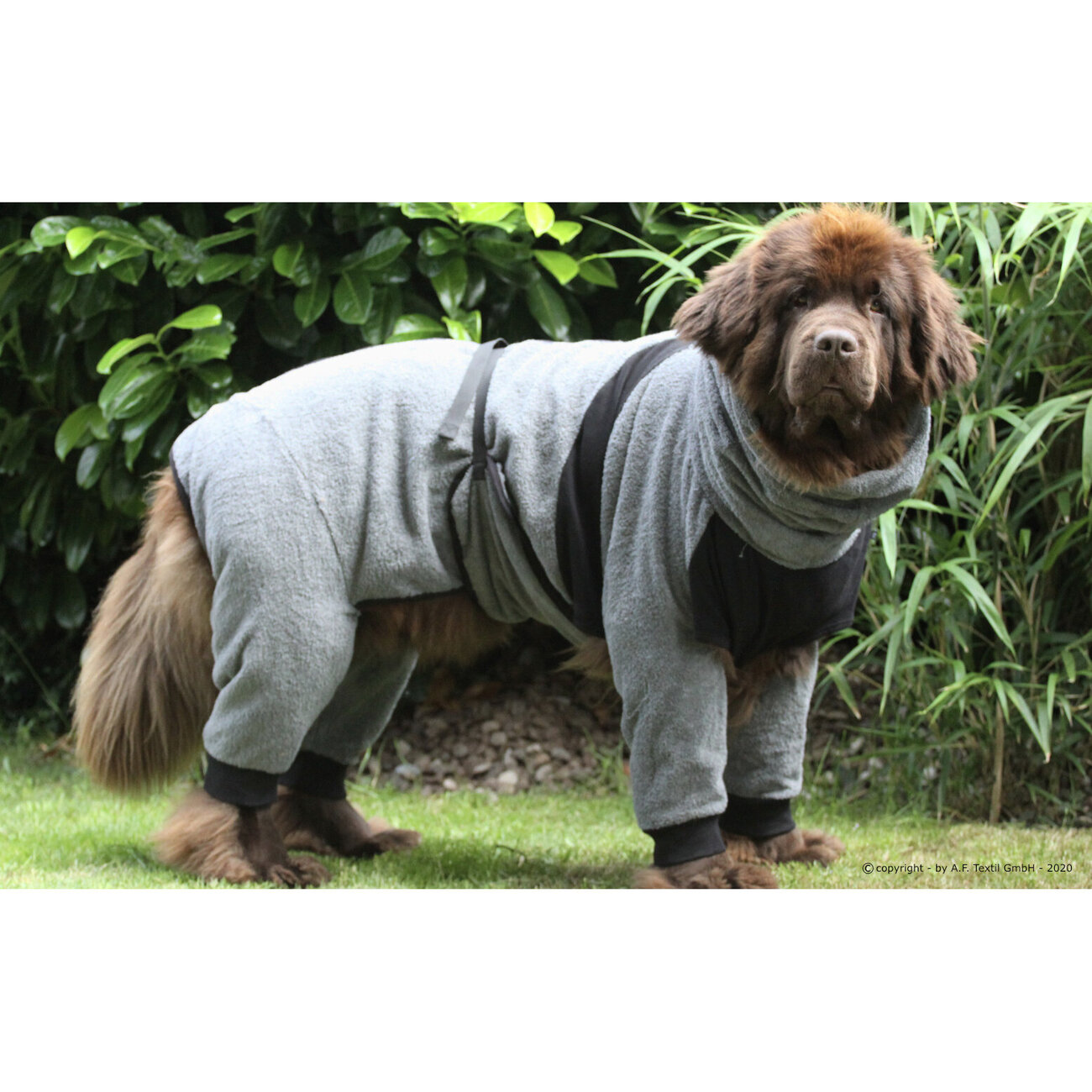 Dryup Body zip.fit Hundebademantel Big Bild 5