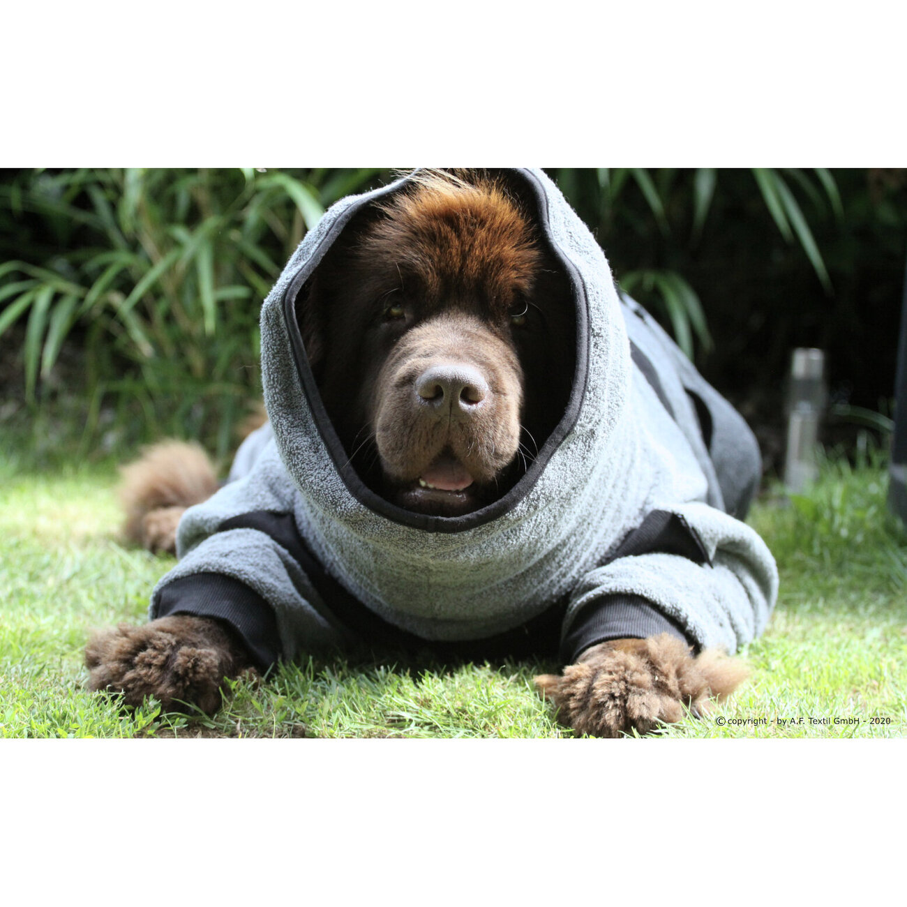 Dryup Body zip.fit Hundebademantel Big Bild 6