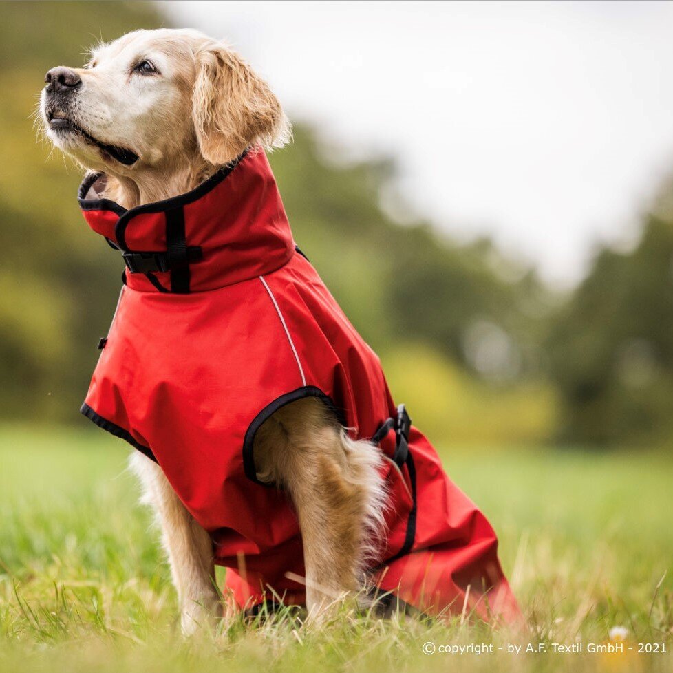 fit4dogs Active Cape LIGHT Hundemantel Bild 6