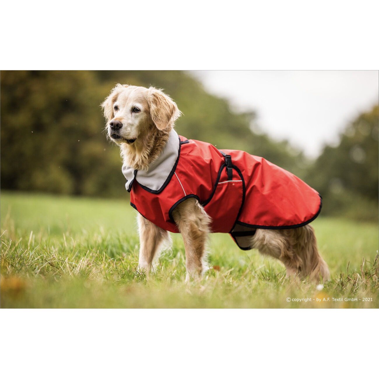 fit4dogs Active Cape LIGHT Hundemantel Bild 7