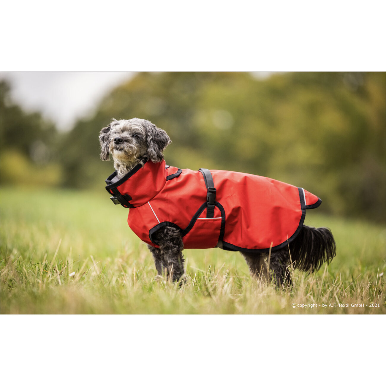 fit4dogs Active Cape Light MINI Hundemantel Bild 9