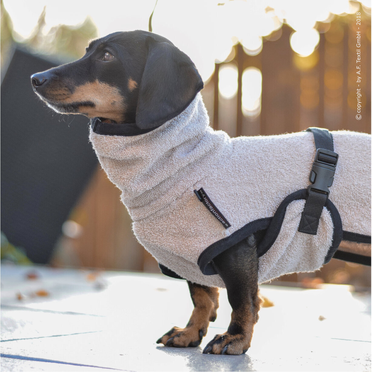 fit4dogs DryUp Cape Trockenmantel für Dackel Bild 6