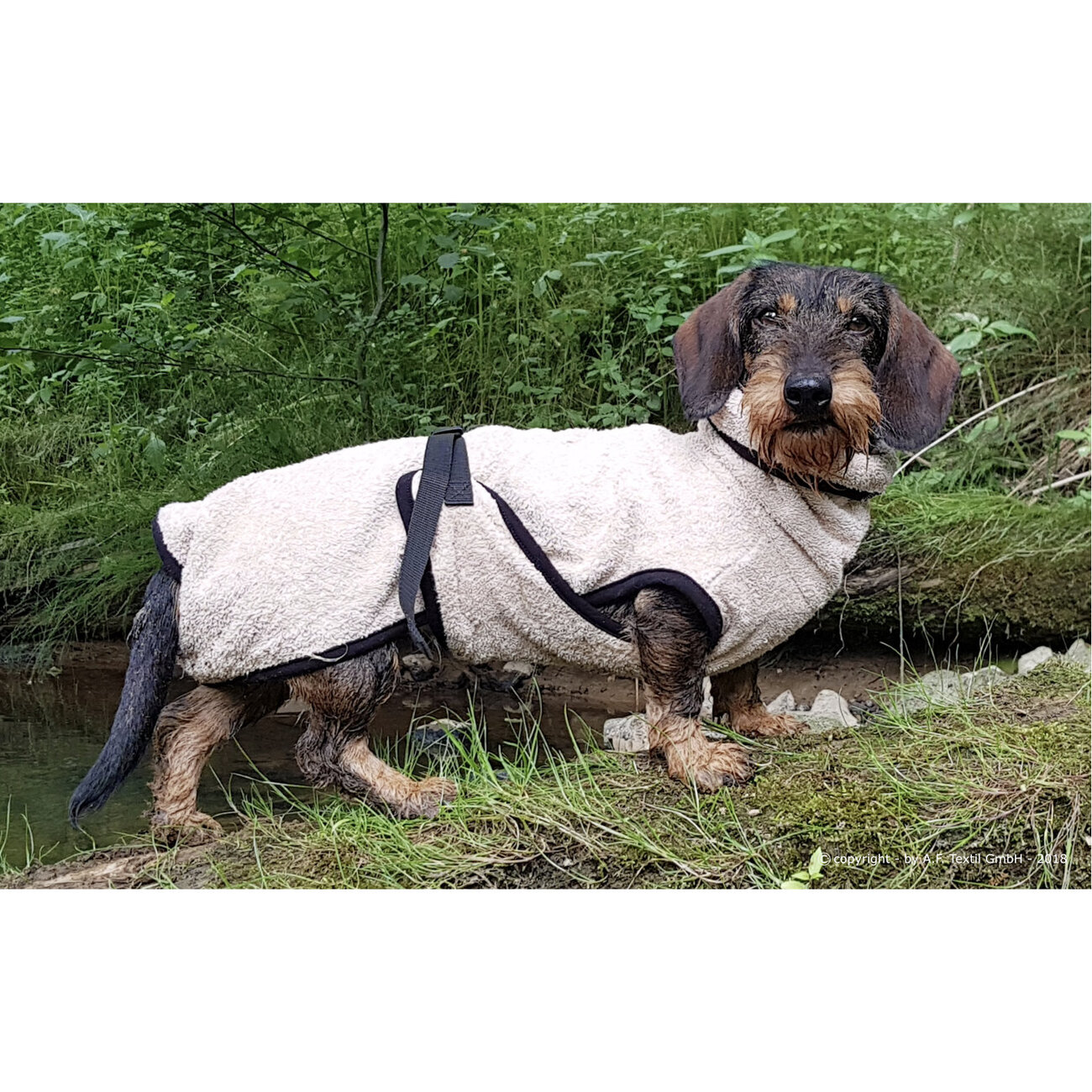 fit4dogs DryUp Cape Trockenmantel für Dackel Bild 7