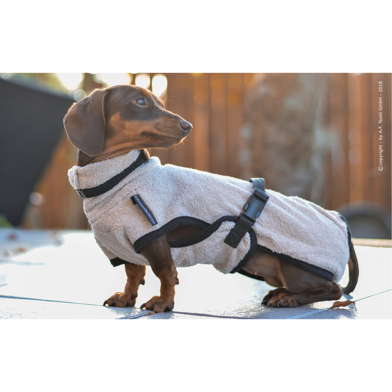 fit4dogs DryUp Cape Trockenmantel für Dackel Bild 8