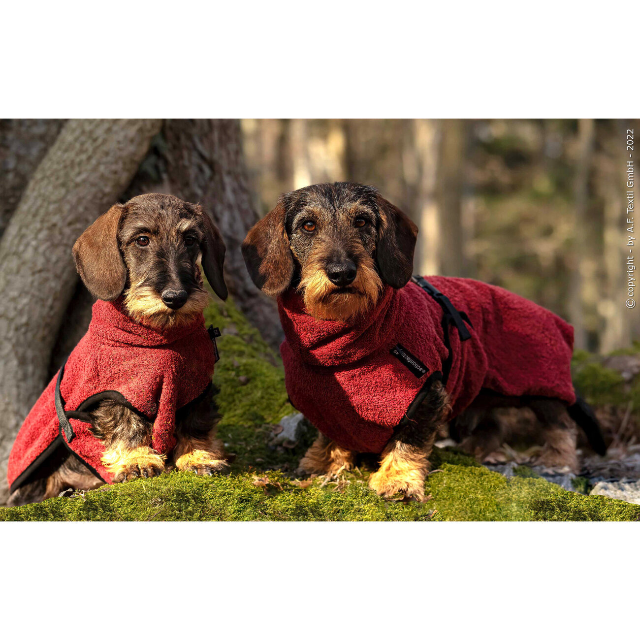 fit4dogs DryUp Cape Trockenmantel für Dackel Bild 10