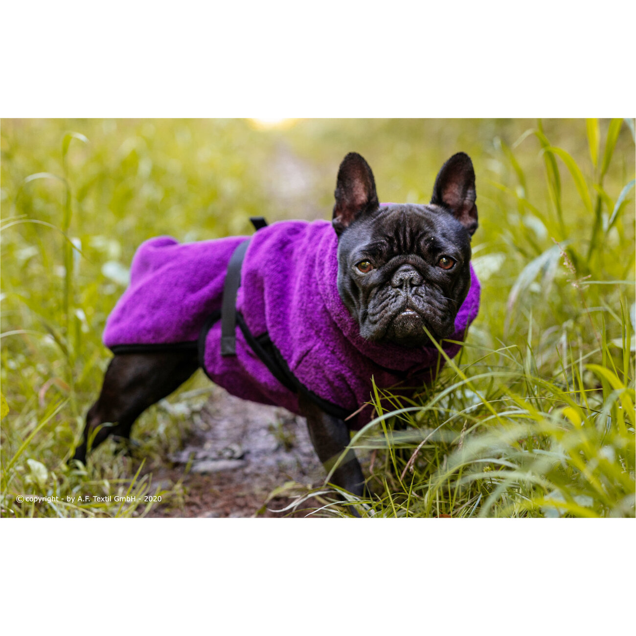 fit4dogs DryUp Cape Trockenmantel für Mops und Co Bild 7