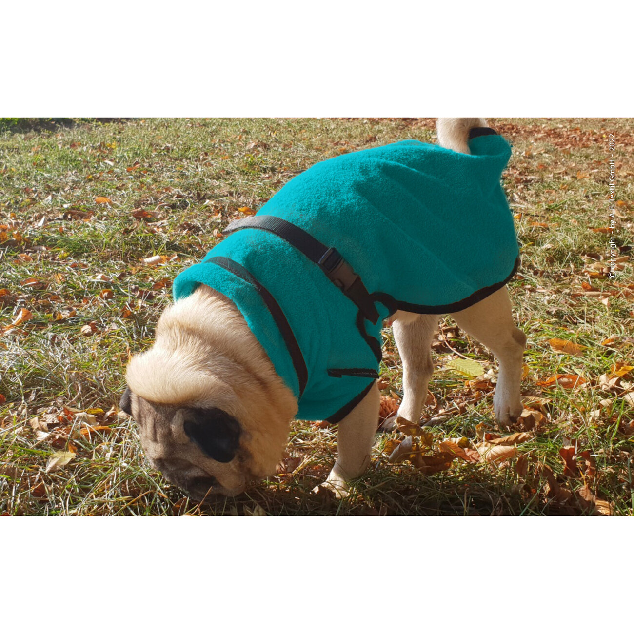 fit4dogs DryUp Cape Trockenmantel für Mops und Co Bild 8