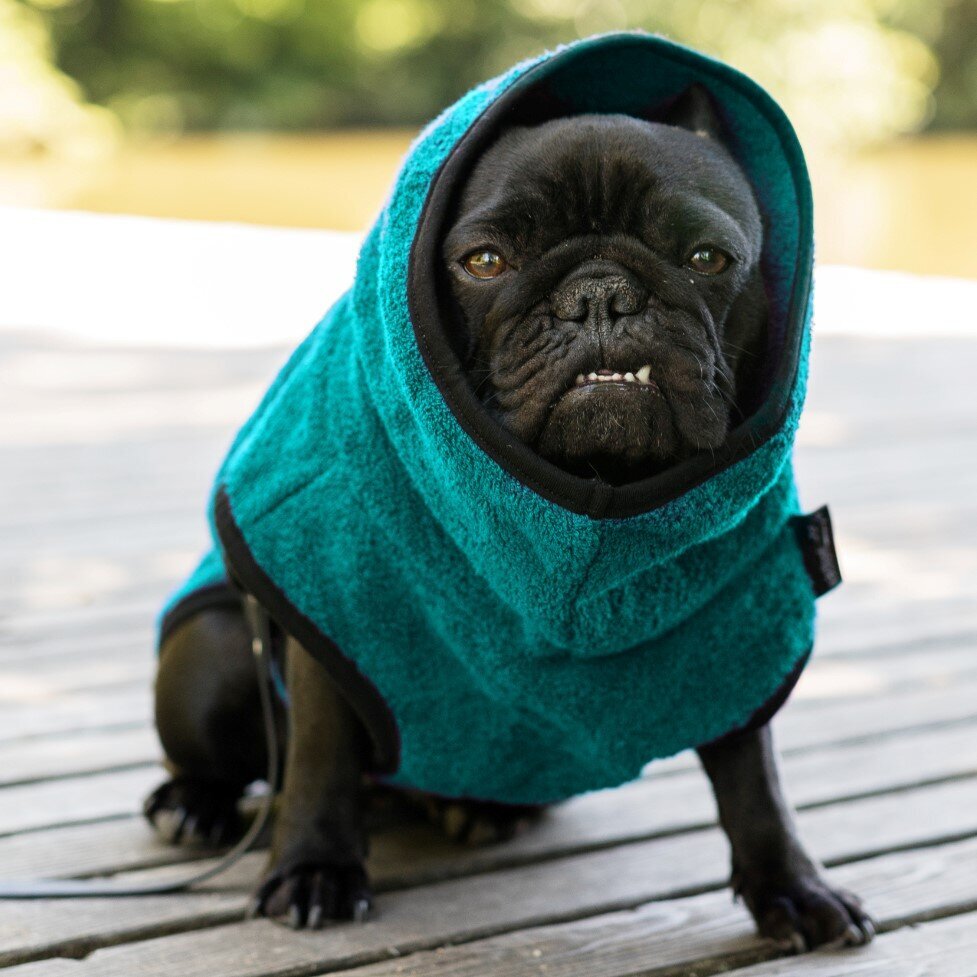 fit4dogs DryUp Cape Trockenmantel für Mops und Co Bild 9