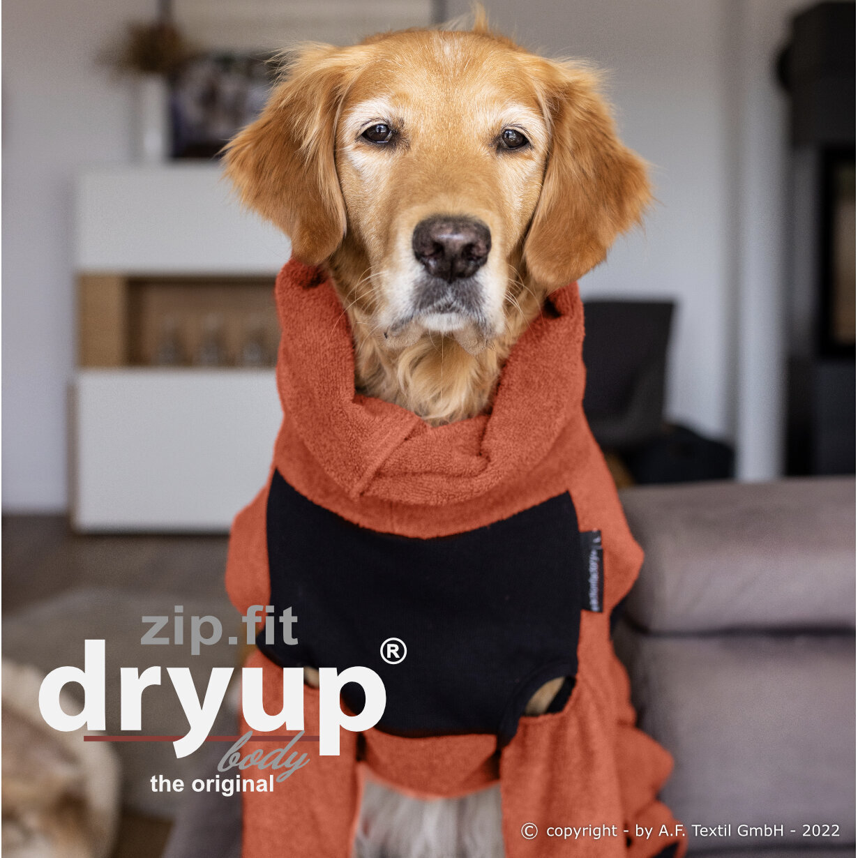 fit4dogs Dryup Hundebademantel mit Beinen Bild 3