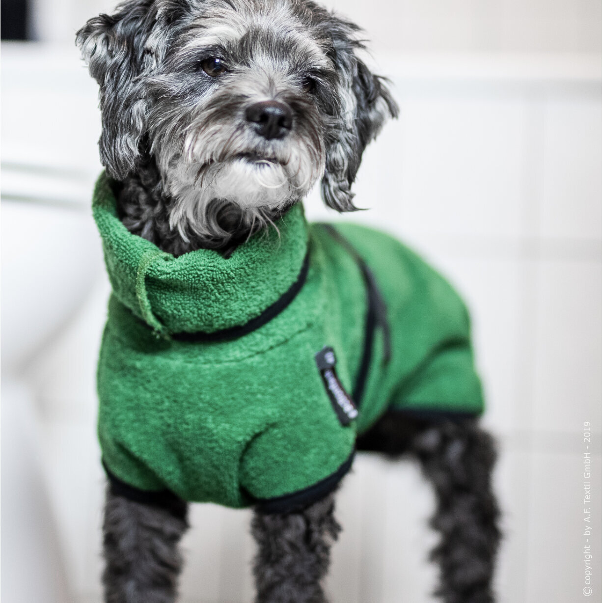fit4dogs Dryup Mini Trockenmantel für Hunde Bild 22