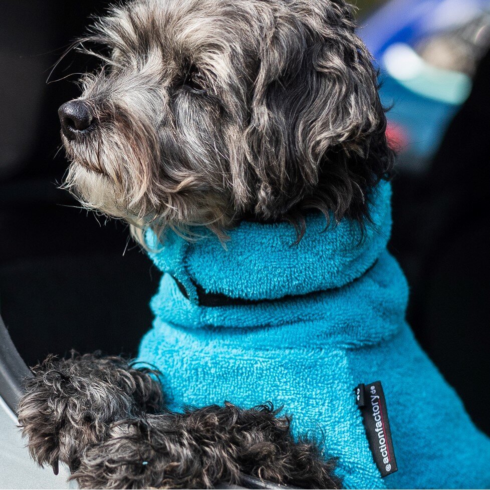 fit4dogs Dryup Mini Trockenmantel für Hunde Bild 30