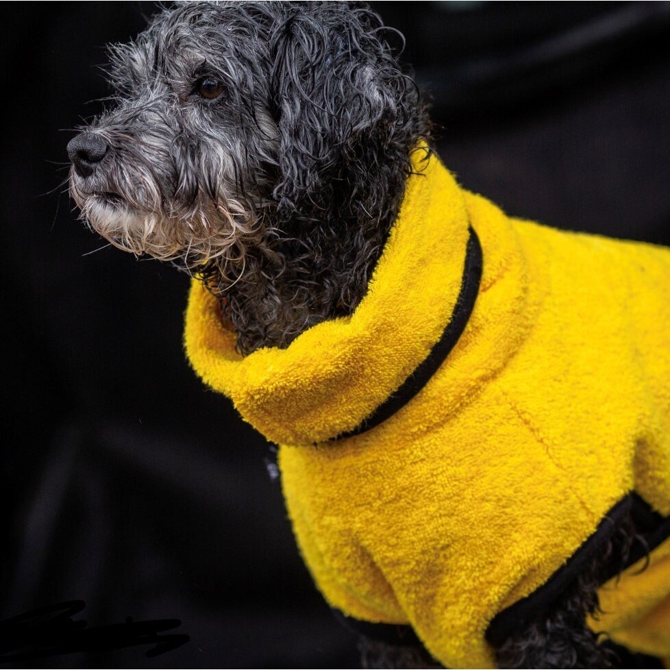 fit4dogs Dryup Mini Trockenmantel für Hunde Bild 26