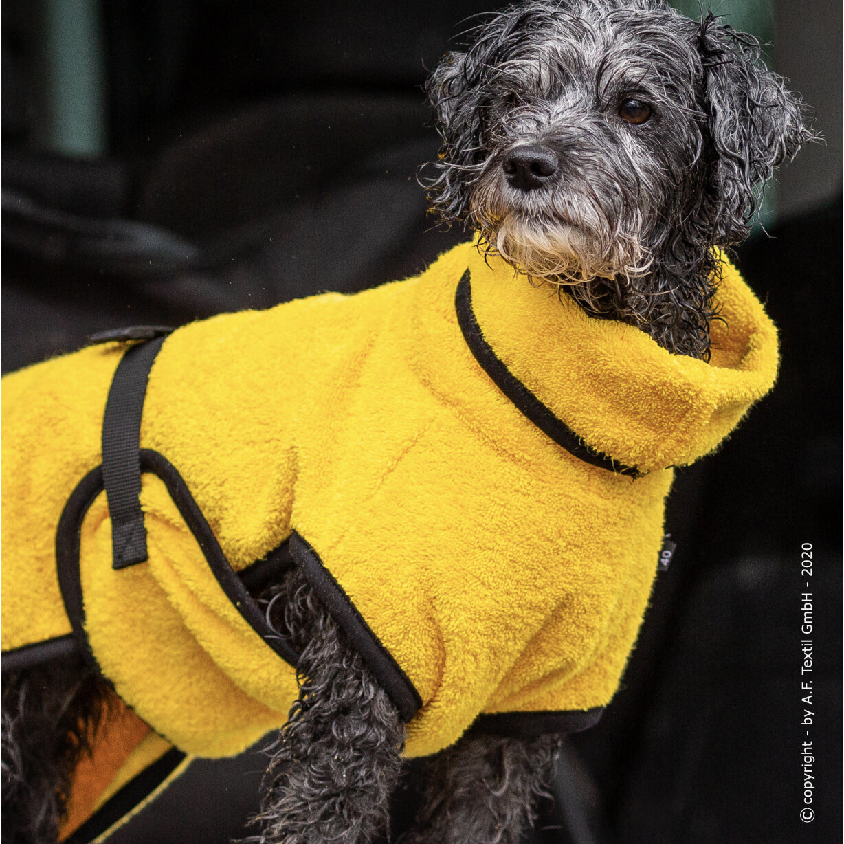 fit4dogs Dryup Mini Trockenmantel für Hunde Bild 24
