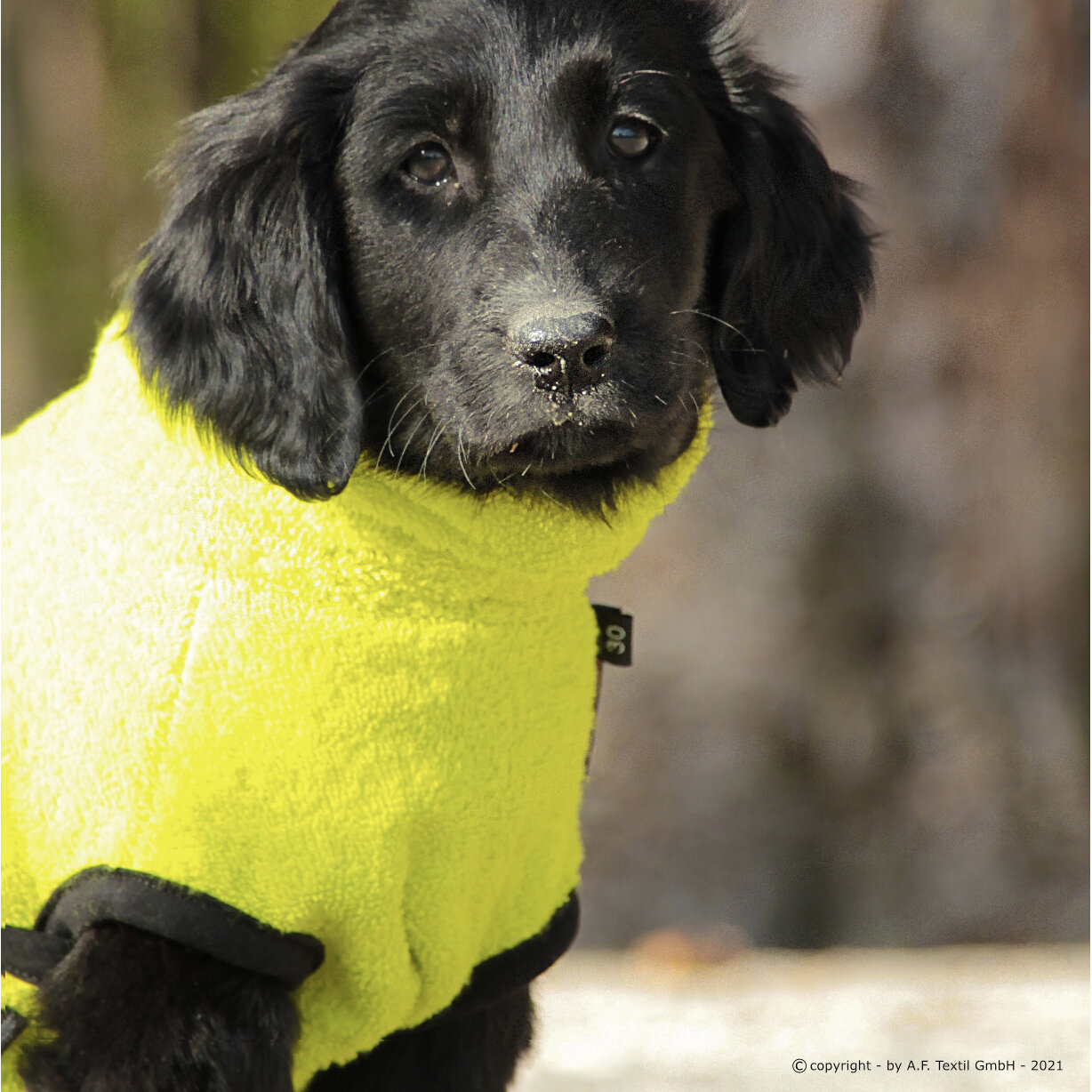 fit4dogs Dryup Mini Trockenmantel für Hunde Bild 16