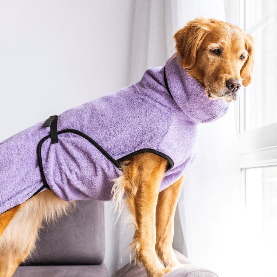 Trockenmantel Hund fit4dogs Dryup Cape Bild 37