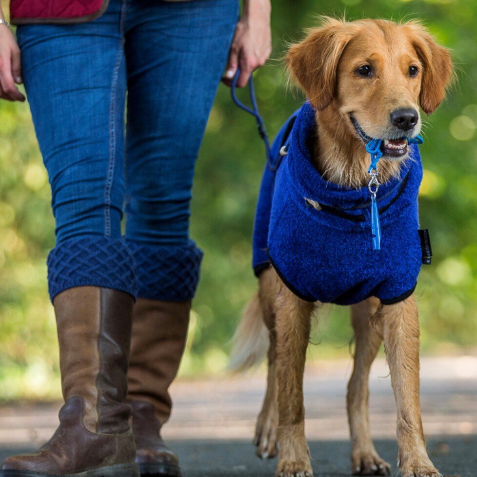 Trockenmantel Hund fit4dogs Dryup Cape Bild 16