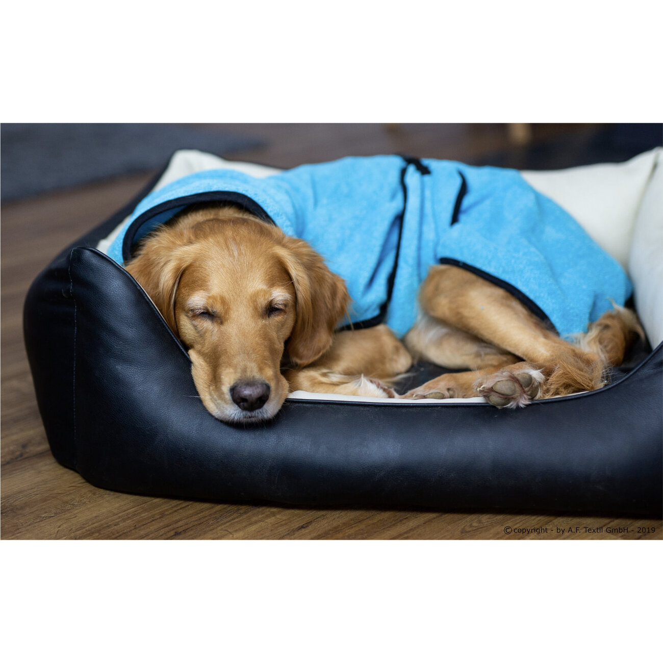 Trockenmantel Hund fit4dogs Dryup Cape Bild 32