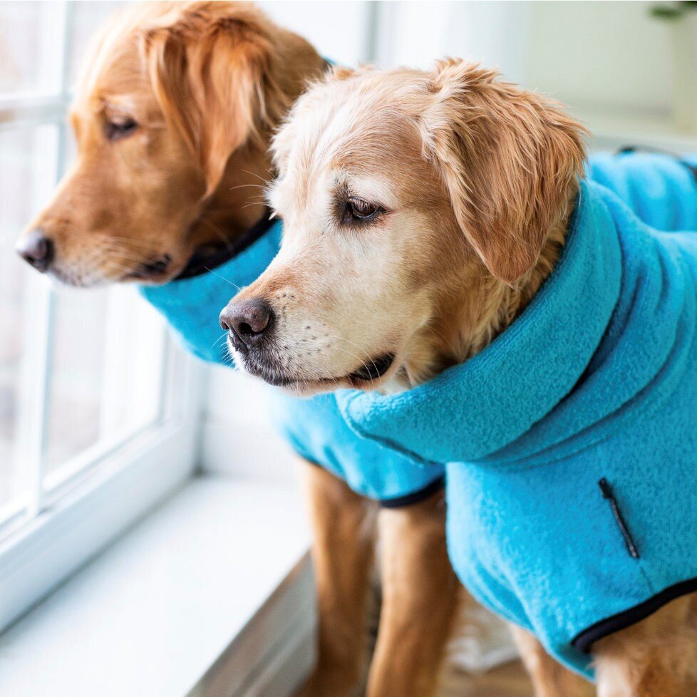 Trockenmantel Hund fit4dogs Dryup Cape Bild 33