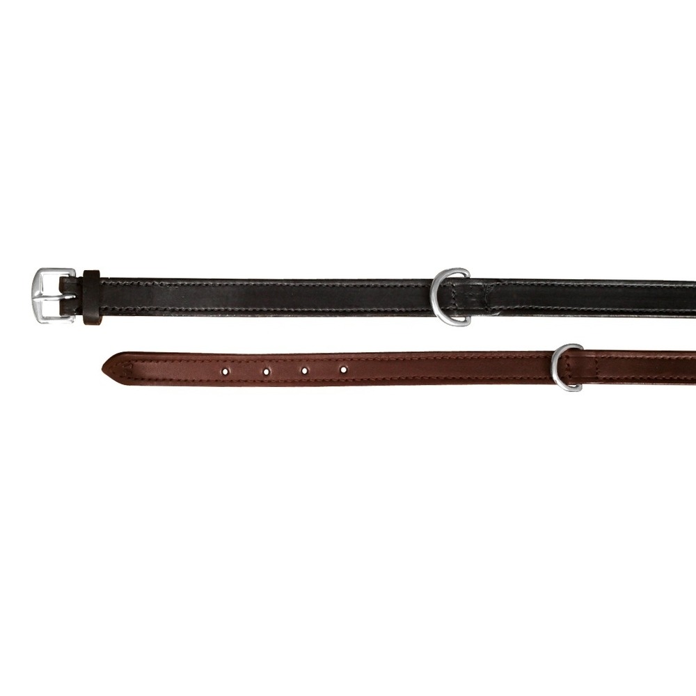 Active Lederhalsband für Hunde Bild 1