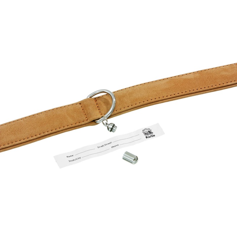 Adresstube für Hunde verchromt wasserdicht Bild 2