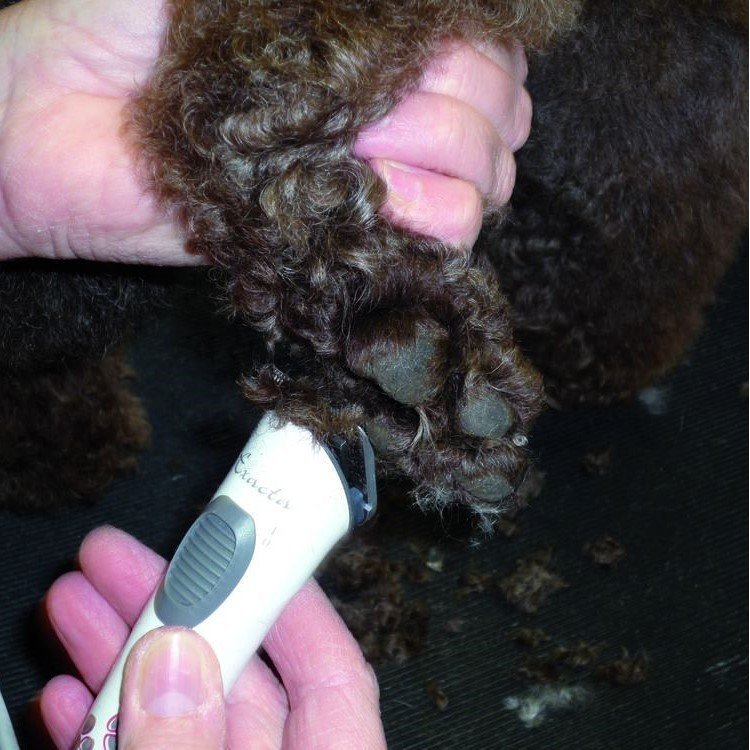 Akkutrimmer Exacta Bild 5