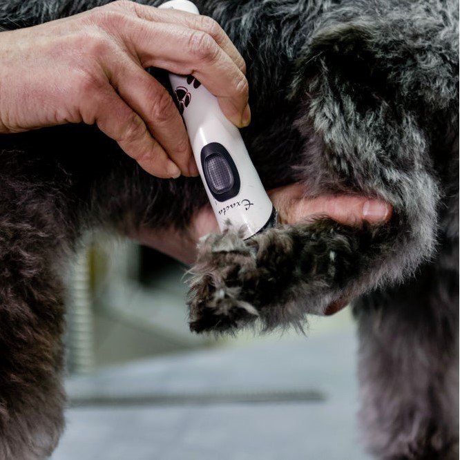 Akkutrimmer Exacta Bild 7