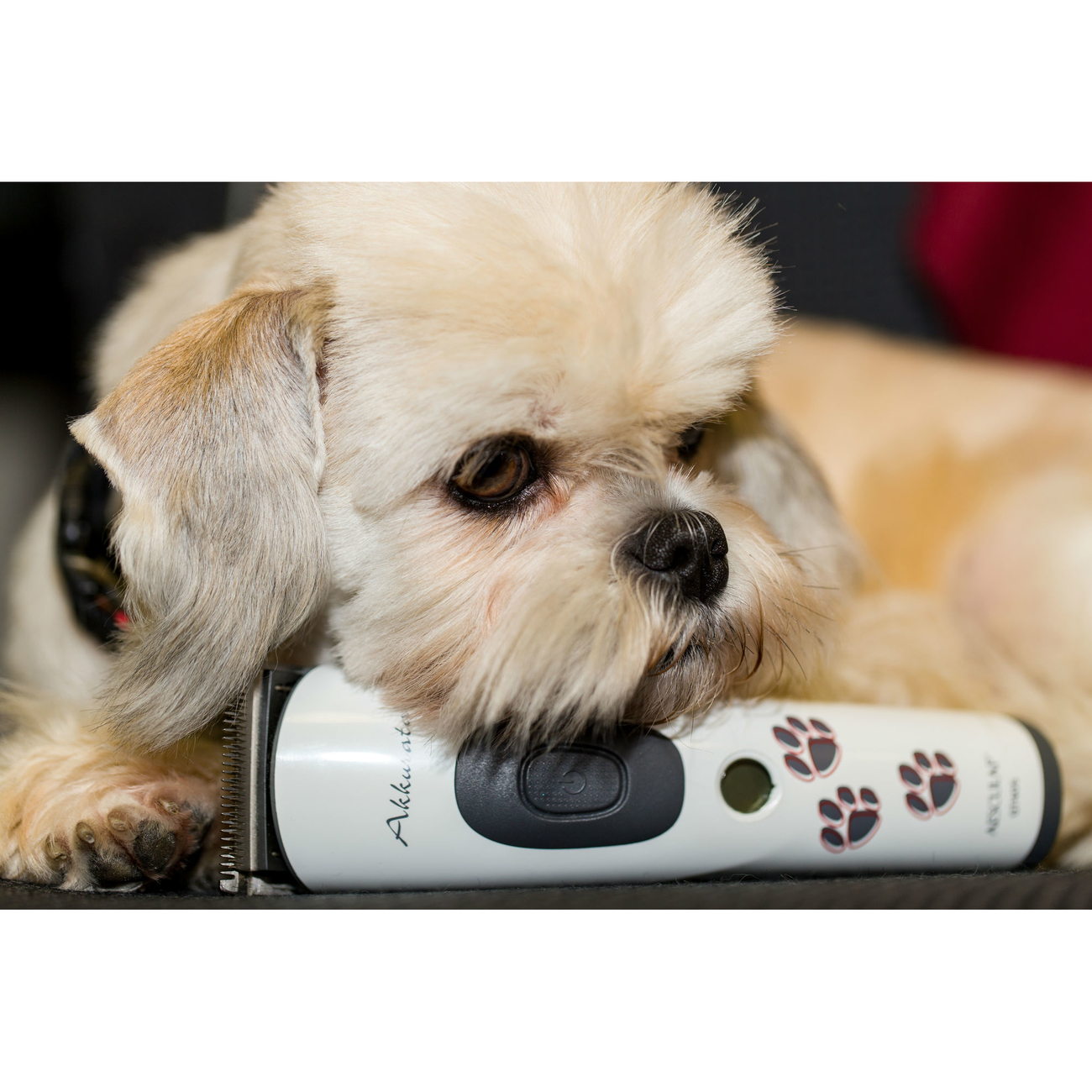 Aesculap Akku Schermaschine Akkurata Bild 3