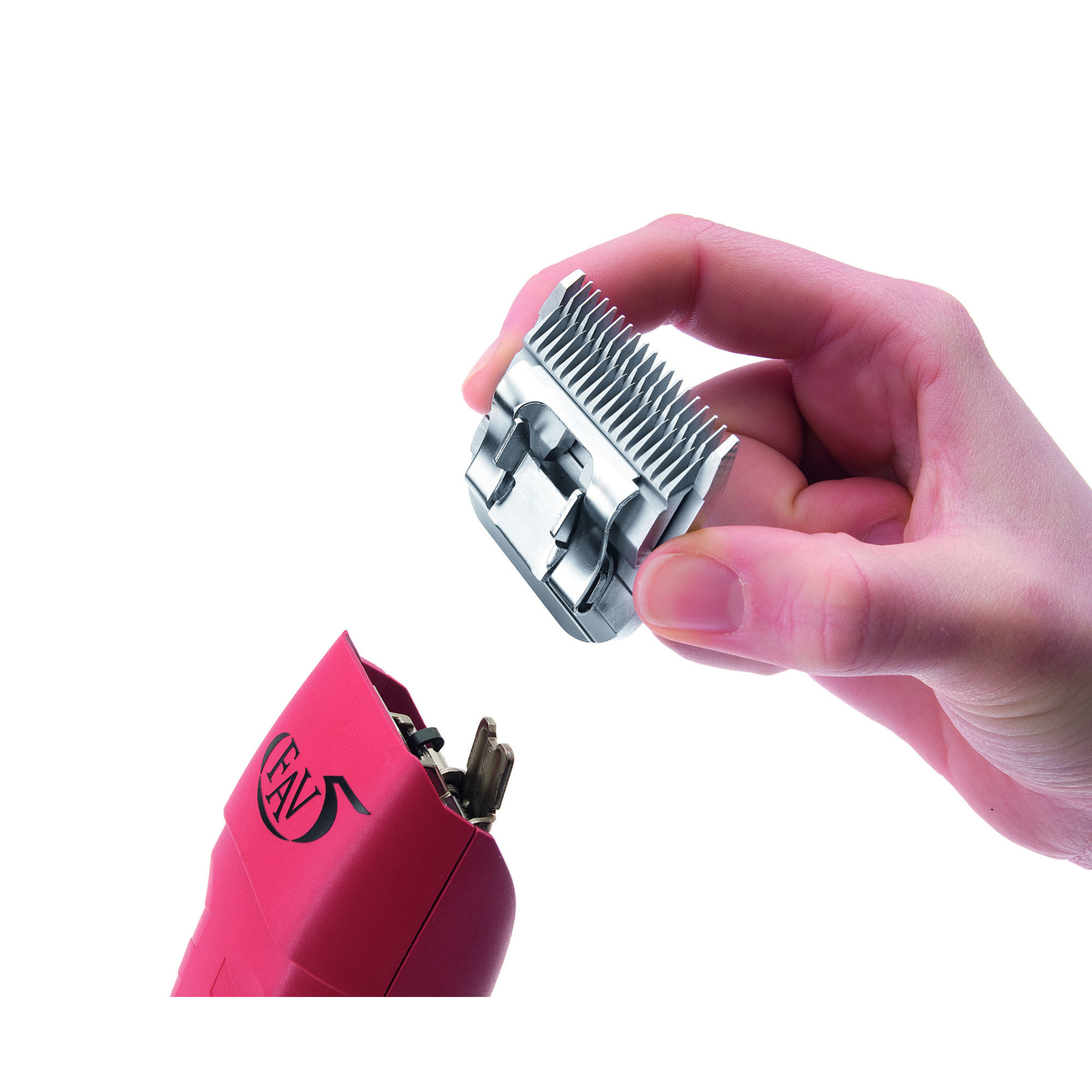 Aesculap Schermaschine FAV5 SnapOn Bild 8