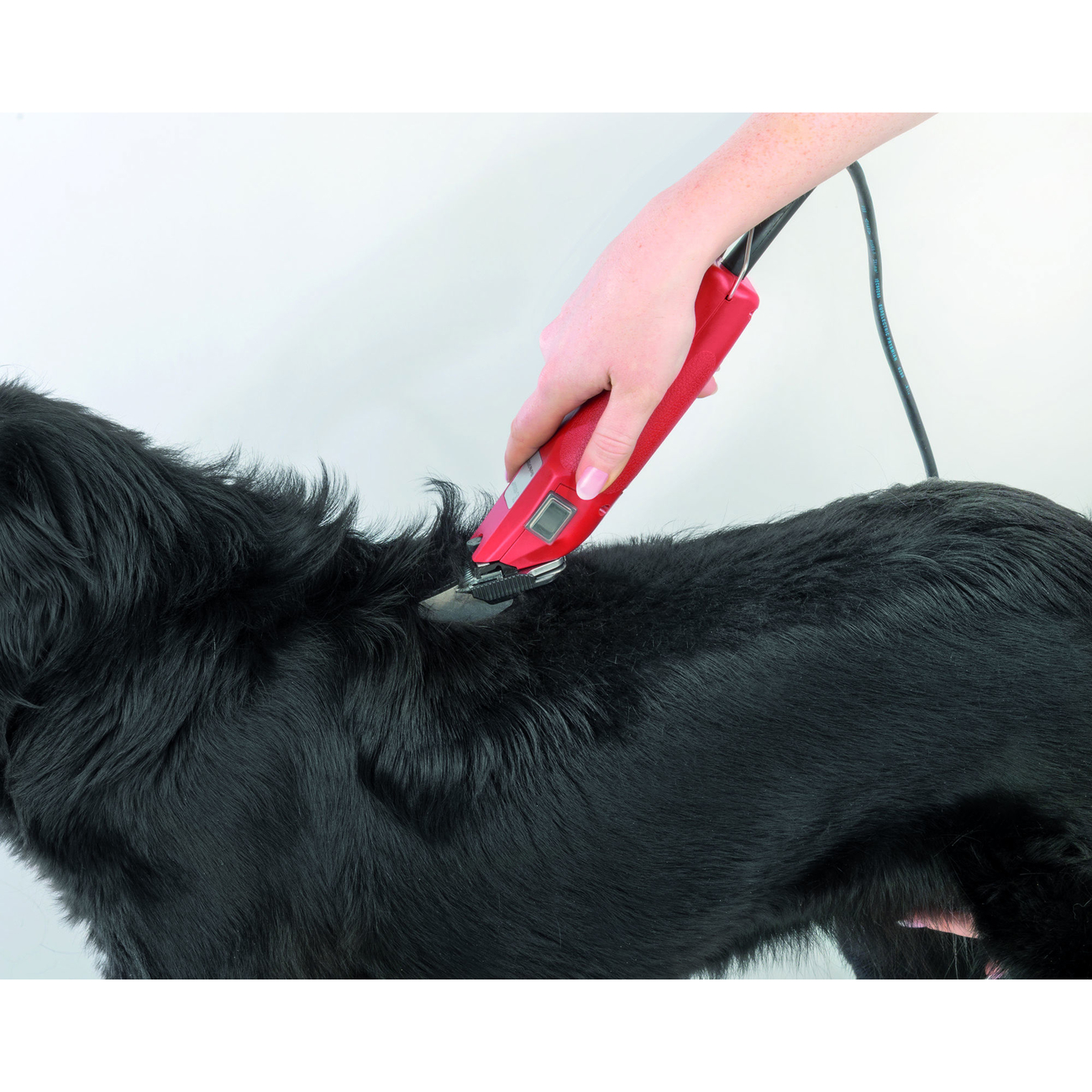 Aesculap Schermaschine Favorita Speed Bild 5