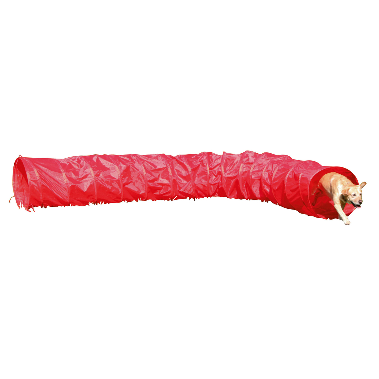 Agility Hundetunnel rot, 5m Bild 2
